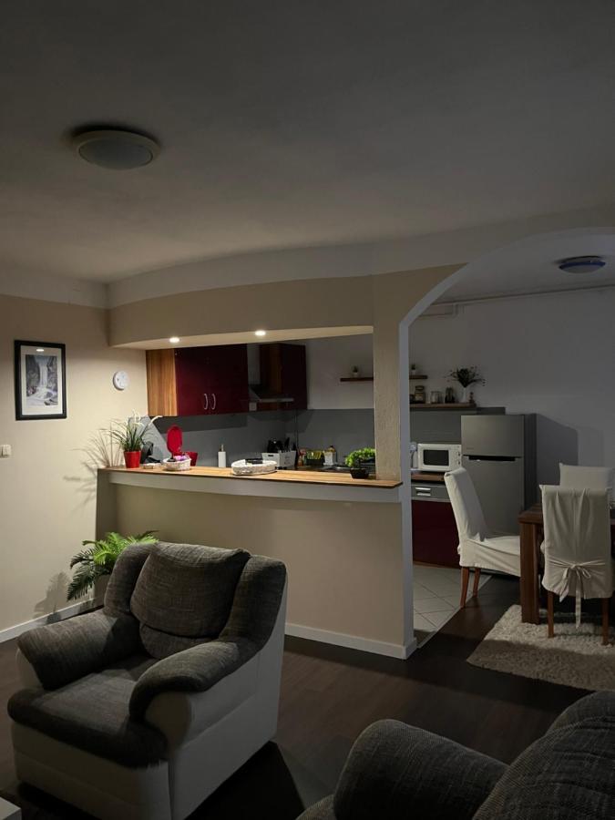 Apartment T&M Zagreb Airport Велика-Горица Экстерьер фото