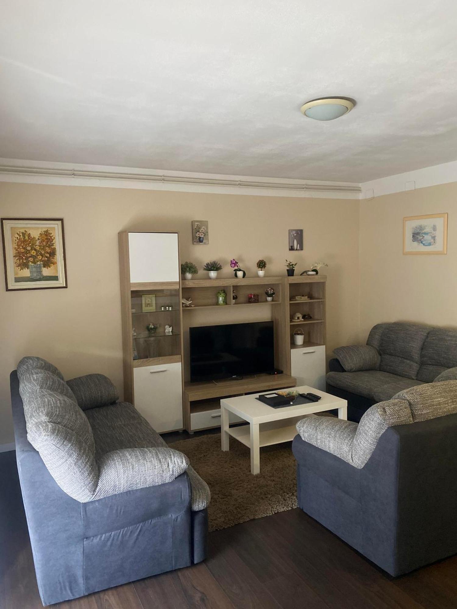 Apartment T&M Zagreb Airport Велика-Горица Экстерьер фото